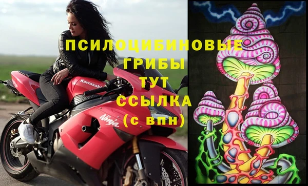 круглые Абаза