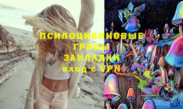 мдпв Алзамай