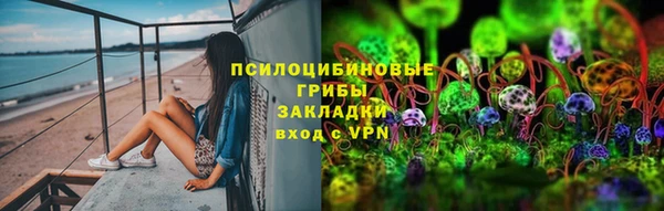 мдпв Алзамай